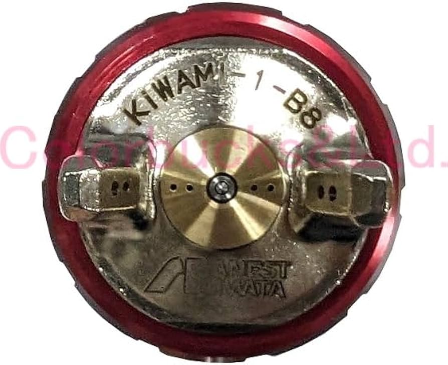 アネスト岩田極み特別限定モデル Amazon.co.jp: □限定モデルKIWAMI-1-13B8S17極み沖縄シーサー
